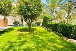 Double Plot Villas with Pool for Sale in Prime Saar Location