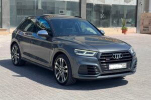 Audi SQ5 / 2017 (Grey)