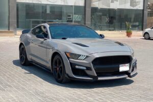 Ford Mustang GT 2016 (Grey)