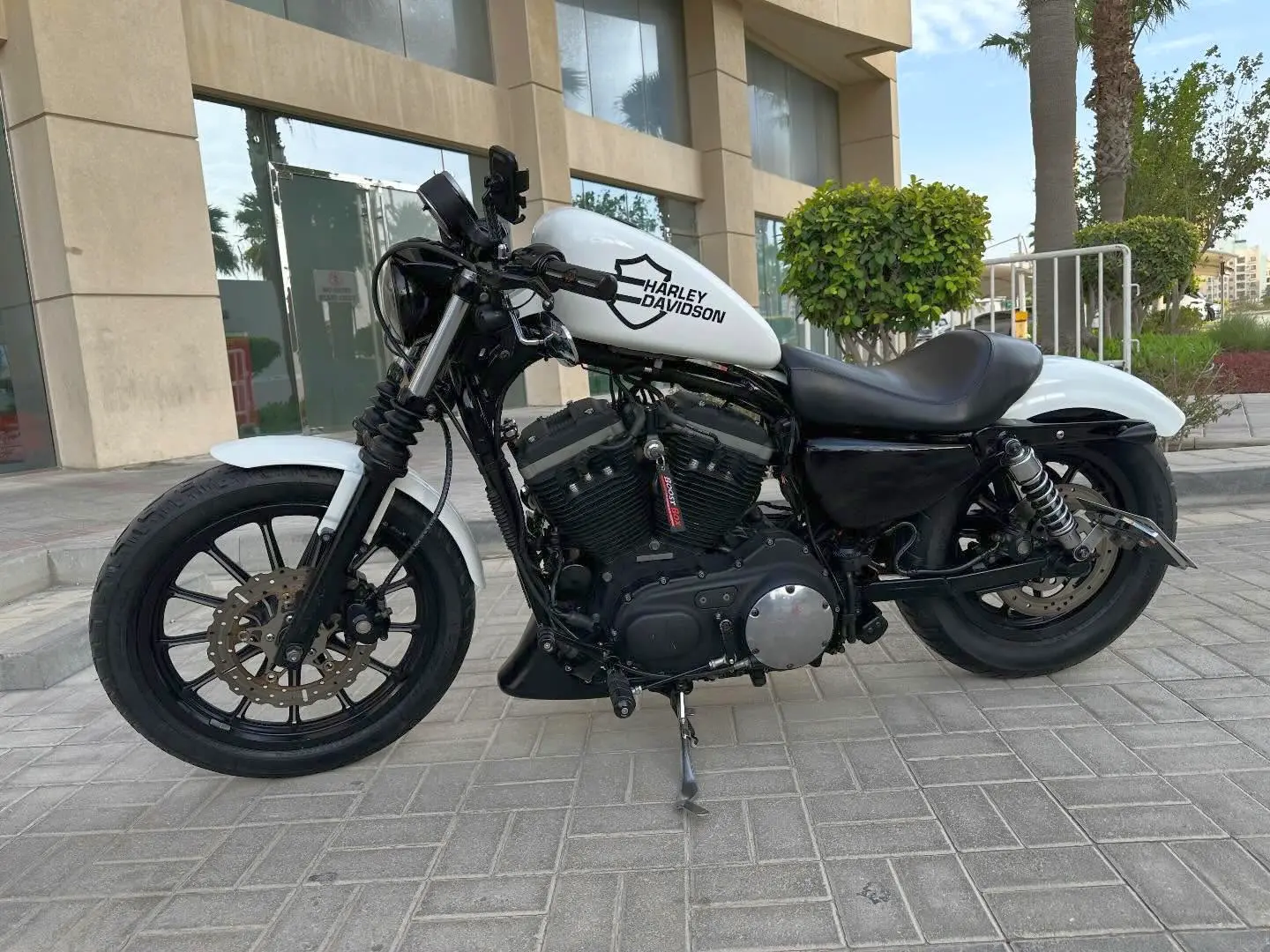For Sale 2021 Harley-Davidson Sportster 883