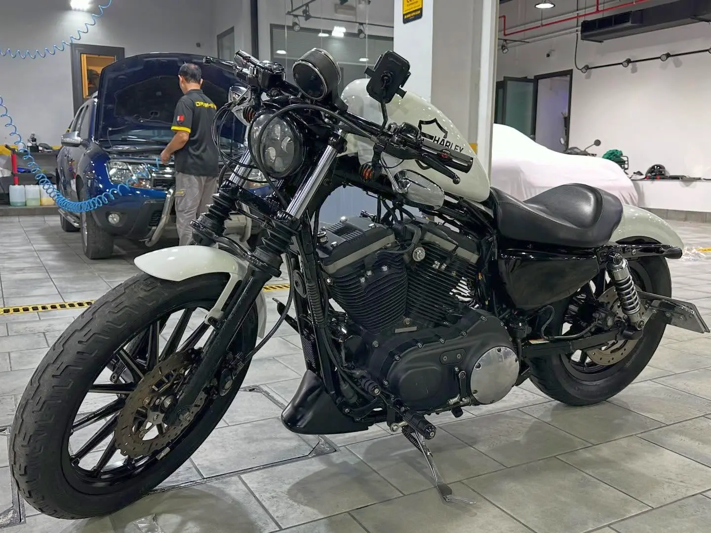 For Sale 2021 Harley-Davidson Sportster 883