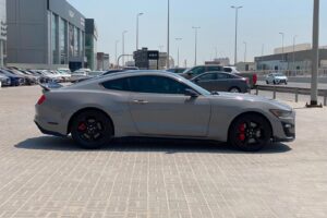 Ford Mustang GT 2016 (Grey)