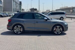 Audi SQ5 / 2017 (Grey)