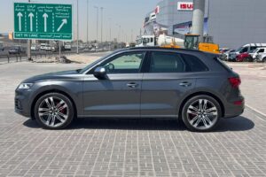 Audi SQ5 / 2017 (Grey)