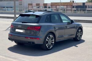 Audi SQ5 / 2017 (Grey)