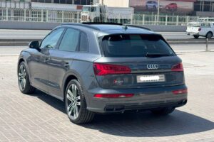 Audi SQ5 / 2017 (Grey)