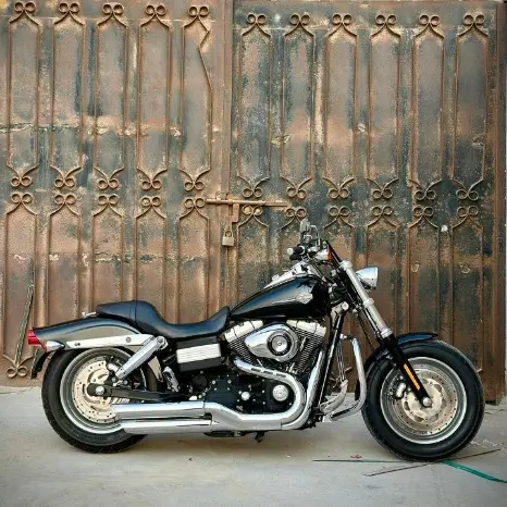 Harley Davidson Fat Bob 2010 – Clean Condition