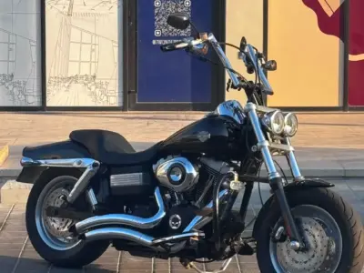 Harley-Davidson-Fatbob-2009-01