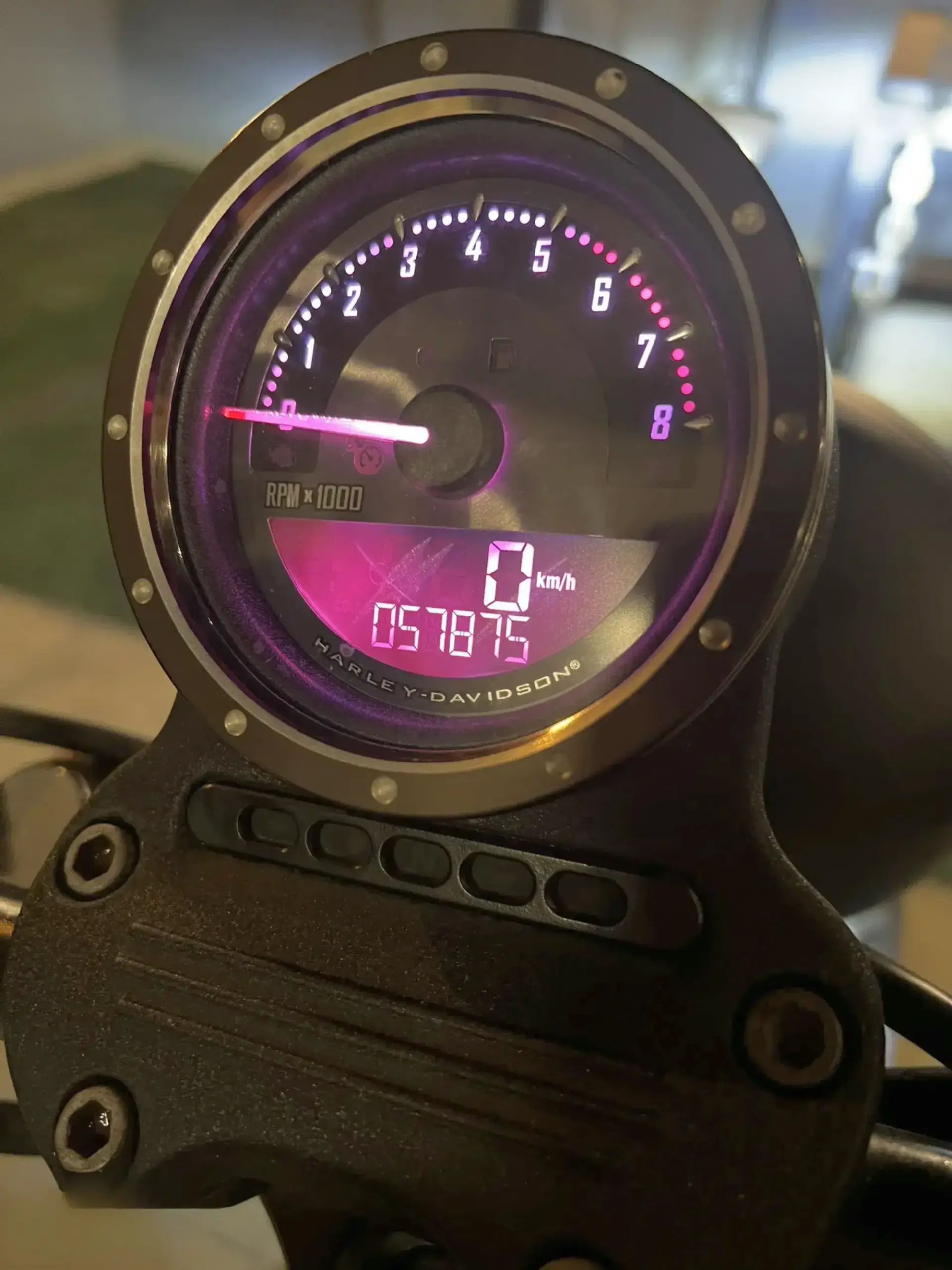 Harley Davidson Iron 883 Sportster 2011 – Customised