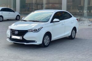 Changan Alsvin / 2024 (White)