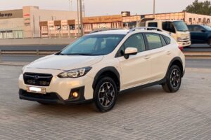 Subaru XV / 2019 (Pearl)