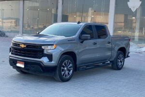 Chevrolet Silverado 2023 (Grey)