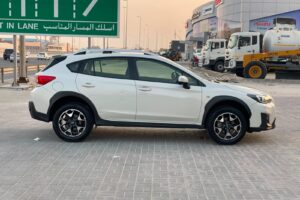 Subaru XV / 2019 (Pearl)