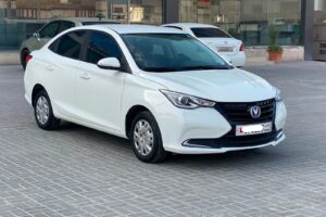 Changan Alsvin / 2024 (White)