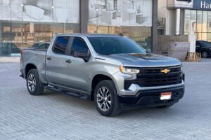 Chevrolet Silverado 2023 (Grey)