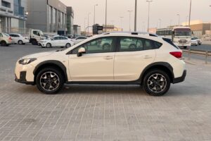 Subaru XV / 2019 (Pearl)
