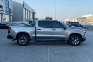 Chevrolet Silverado 2023 (Grey)
