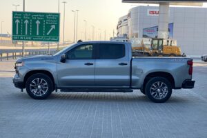 Chevrolet Silverado 2023 (Grey)