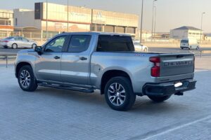 Chevrolet Silverado 2023 (Grey)