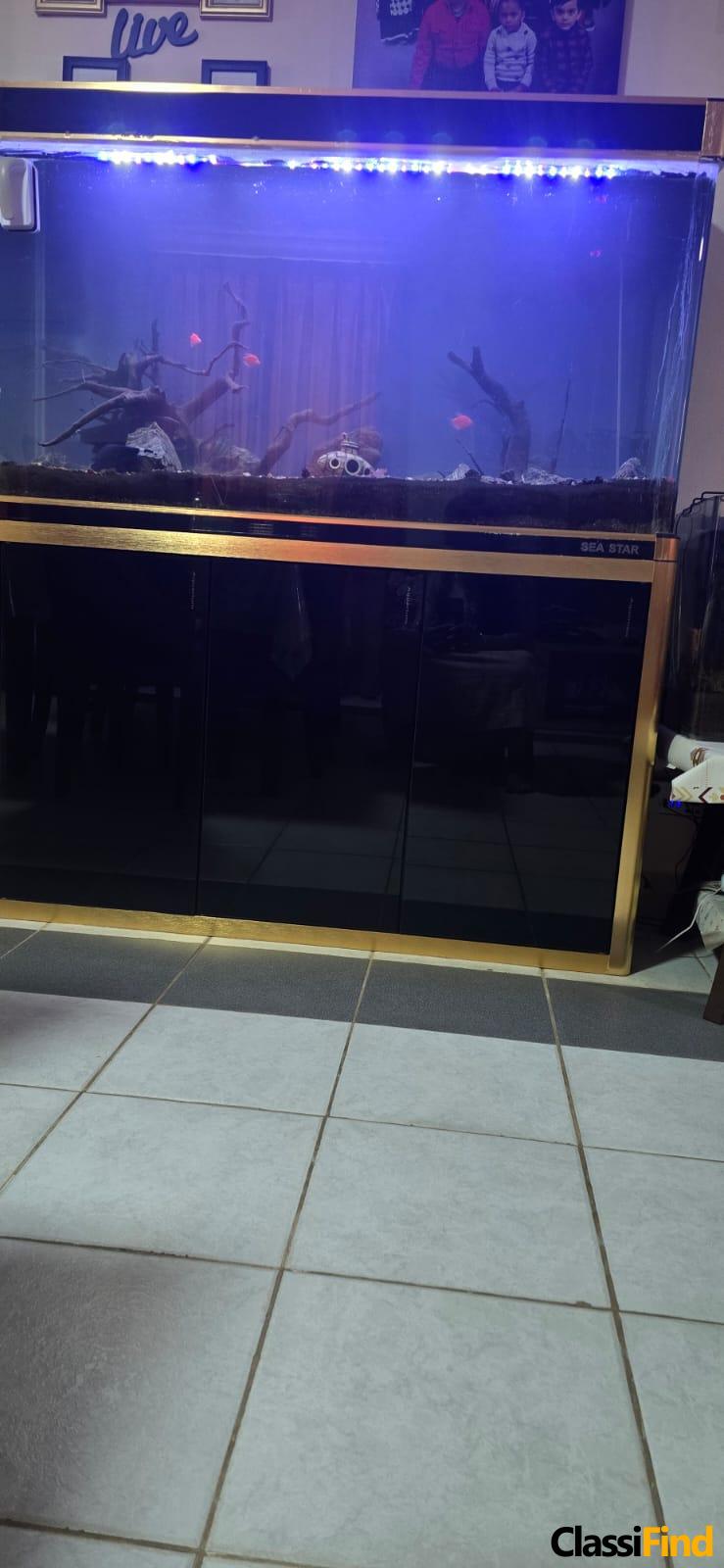 “Home Electronics for Sale – TV, Sound System, Kitchen Appliances & More – Great Condition”