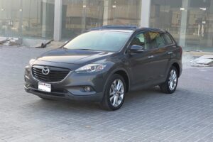 Mazda CX-9 / 2013 (Grey)