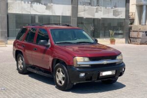 Chevrolet Trailblazer 2009 (Maroon)