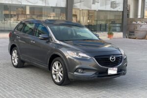 Mazda CX-9 / 2013 (Grey)