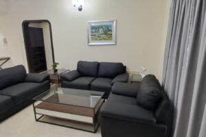 Pet friendly fully funished apartments for rent
