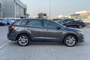 Mazda CX-9 / 2013 (Grey)