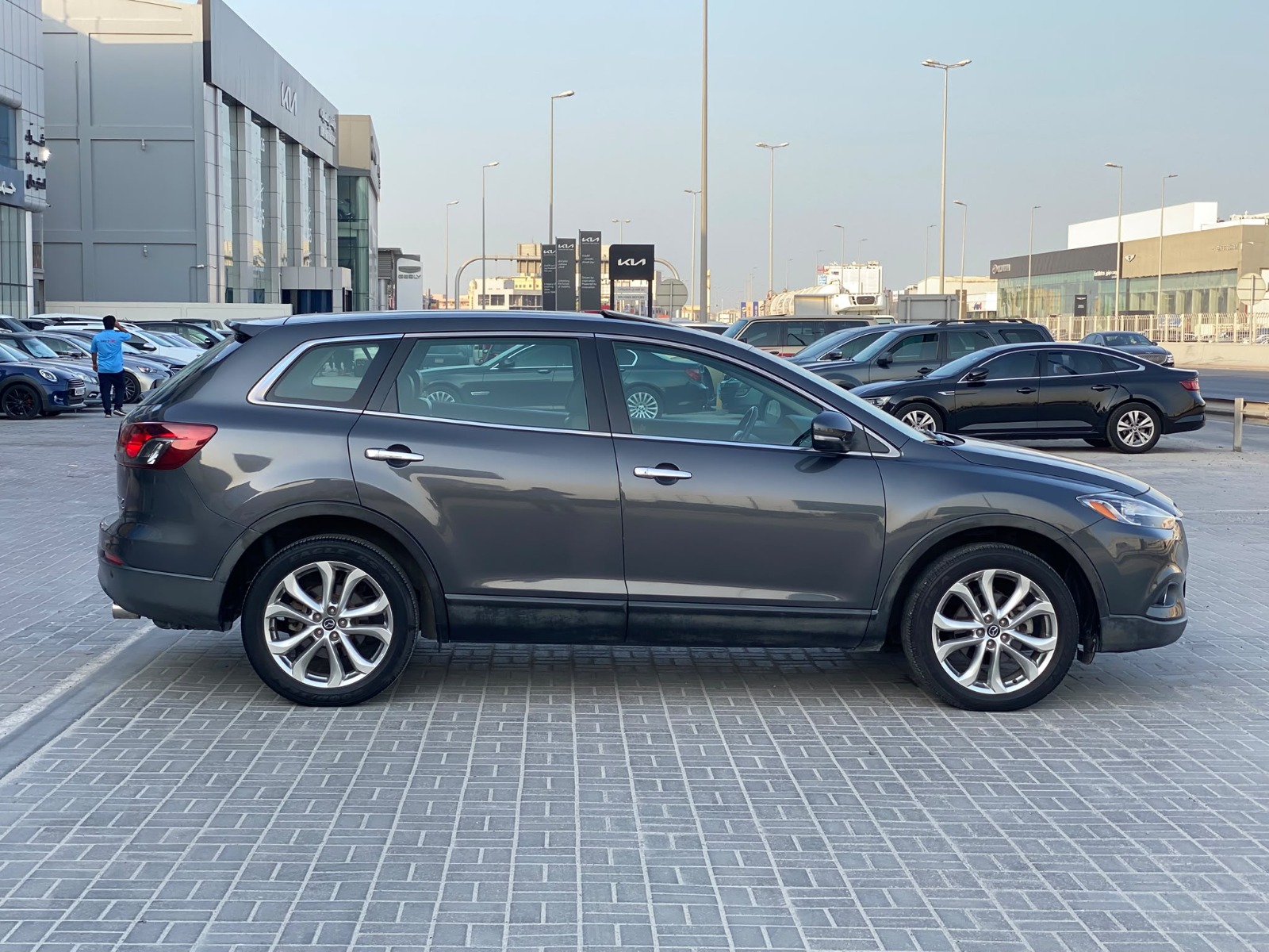 Mazda CX-9 / 2013 (Grey)
