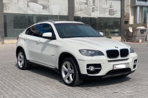 BMW X6 / 2011 (White)
