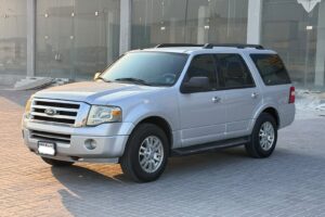 Ford Expedition 2013 (Silver)
