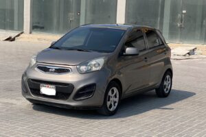 Kia Picanto / 2014 (Grey)