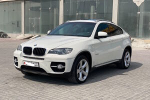 BMW X6 / 2011 (White)