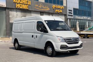 Maxus V80 / 2021 (White)