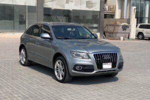 Audi Q5 / 2010 (Grey)