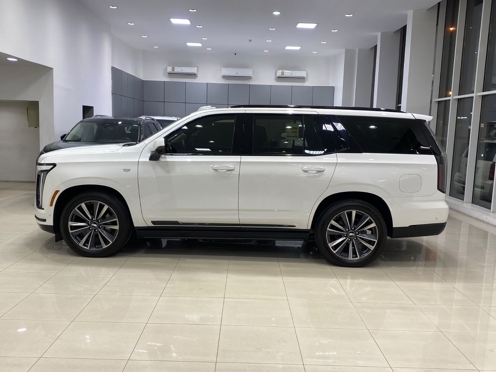 Cadillac Escalade 600 / 2025 (White)