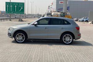 Audi Q5 / 2010 (Grey)